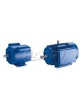 YL SERIES SINGLE PHASE TWO-VALUE CAPACITOR MOTORS